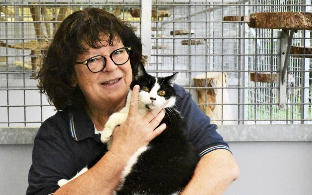 Mechtild Stavenuiter van de Stichting Dierenhulpverlening Woerden : „We houden contact, zeker bij honden met een wat zwaardere ‘rugzak’.” beeld Theo Haerkens