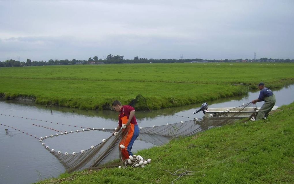 Medewerkers van het Hoogheemraadschap van Delfland brengen in kaart welke vissen er in de sloten van het waterschap leven.  beeld ATKB