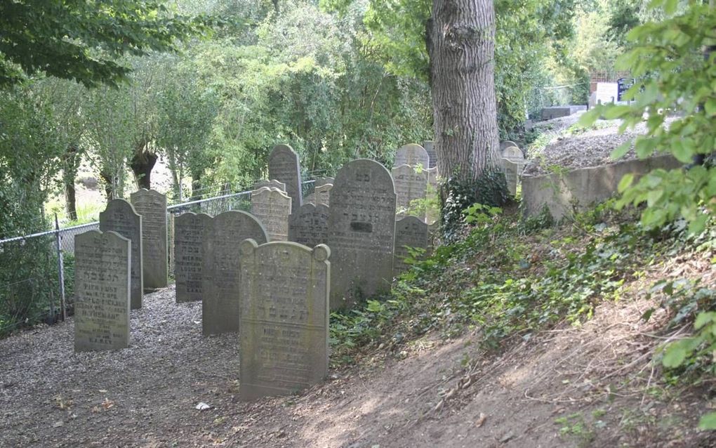 De Joodse begraafplaats aan de Lingedijk in Leerdam is een van de weinige herinneringen aan Joden in de glasstad. Uit het boek ”Joods Leerdam” blijkt dat in de arme gemeenschap volop ruzie was. beeld André Bijl