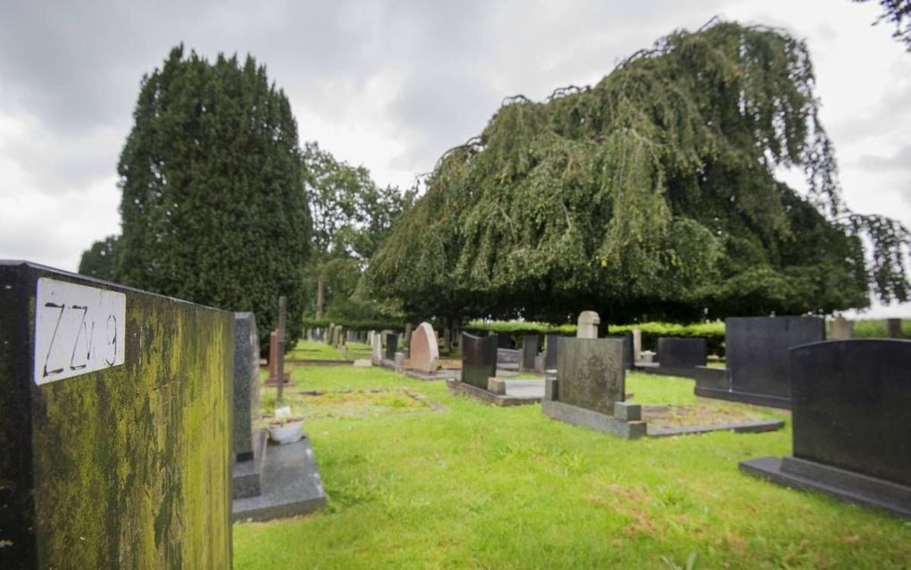 Op begraafplaats de Damwedze in het Friese Twijzel is het altijd rustig. De beheerder van de dodenakker probeert de eigenaren van diverse graven te achterhalen, maar dat valt niet mee.  beeld Marcel van Kammen