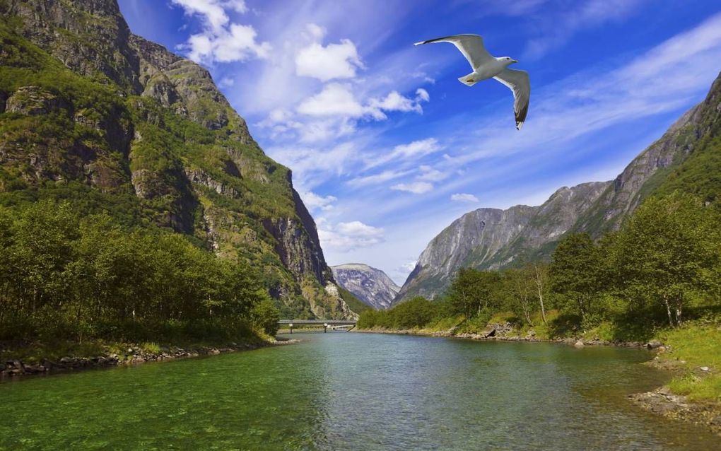 „Het werk van God ontlokt de gelovige aanbidding en verwondering.” beeld iStock