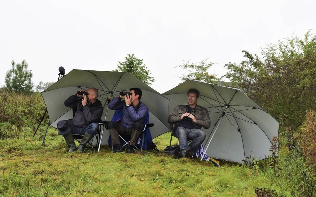 Louis van Oort (r), Daniël Beuker (m) en Dirk van Opheusden (l) telden zaterdagmorgen trekvogels in de Redichemse Waard bij Culemborg. beeld Theo Haerkens