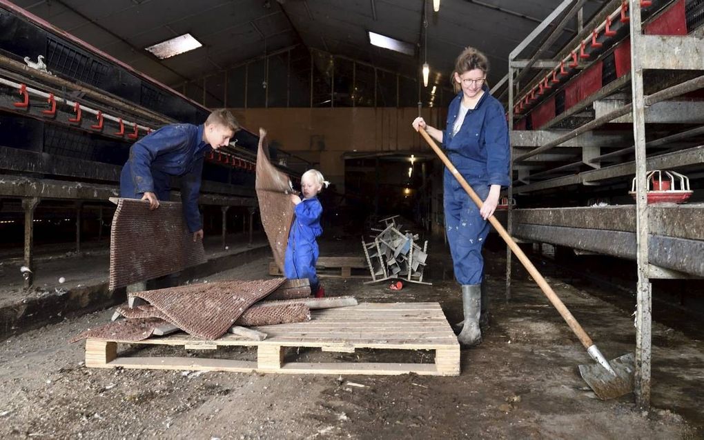 Jong en oud steekt tijdens de actie ”Boenen bij de boeren" de handen uit de bouwen om de stal van boer Van Deelen in De Glind fipronilvrij te maken. beeld Saskia Berdenis van Berlekom