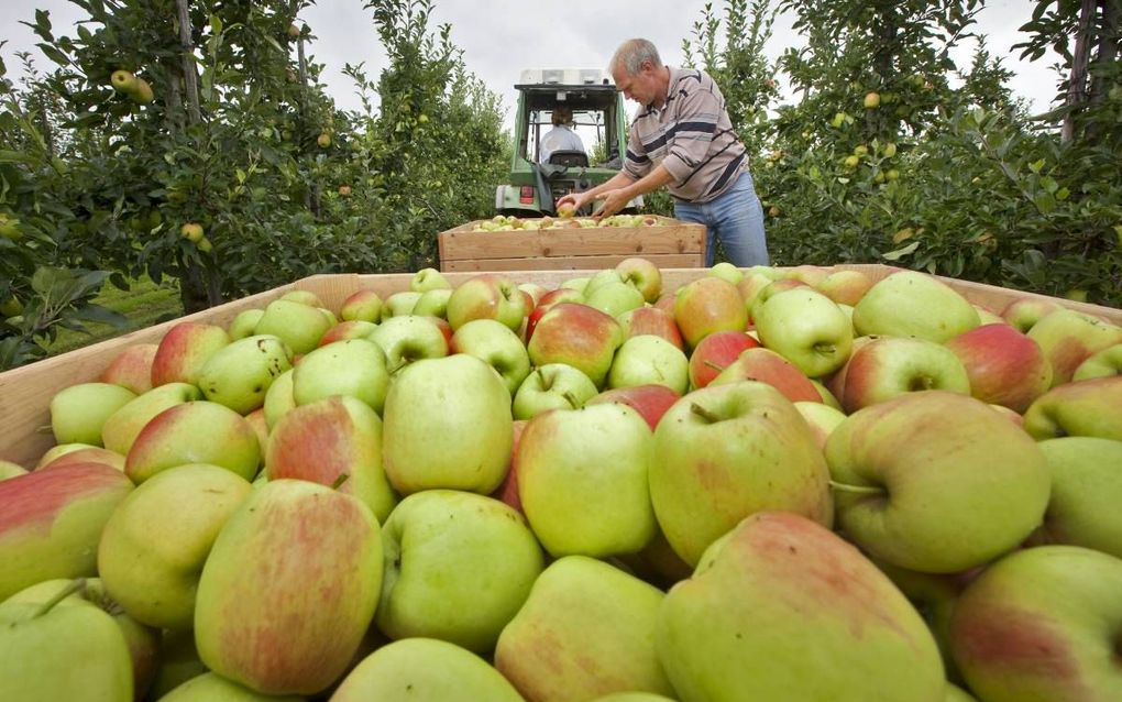 „Politiek en overheid zouden de hardwerkende voedselproducenten tegen milieulobbyisten moeten beschermen.” beeld ANP, Koen Suyk