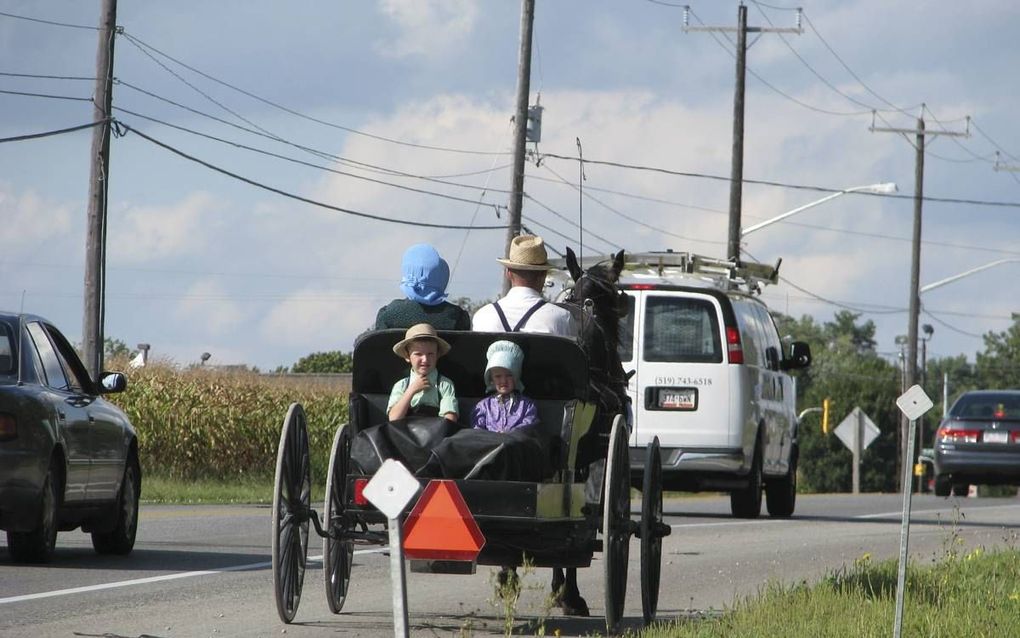 Als gevolg van genmutatie veroudert een deel van de Amish minder snel. beeld Ugly Hedgehog