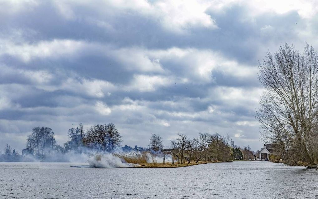 Verbranden van rietafval bij de Sloene, één van de kleinste Reeuwijkse plassen.  beeld Casper Cammeraat