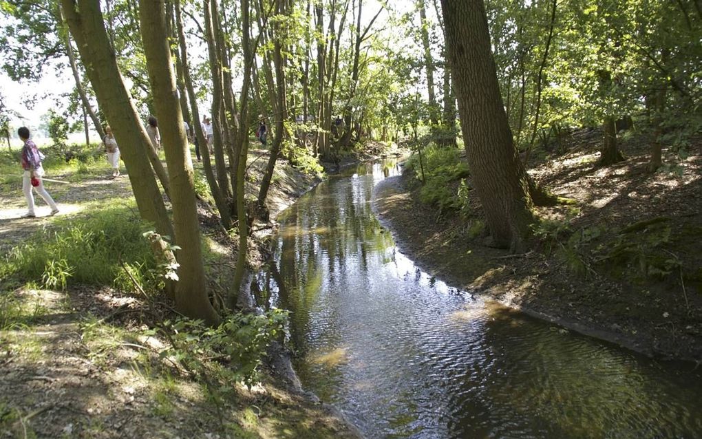 beeld de Bekenstichting