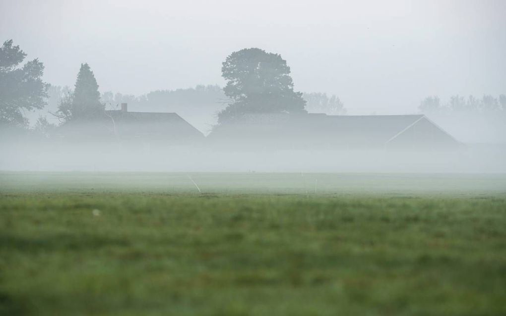 beeld iStock