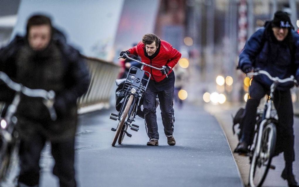 Storm. beeld ANP, Robin Utrecht