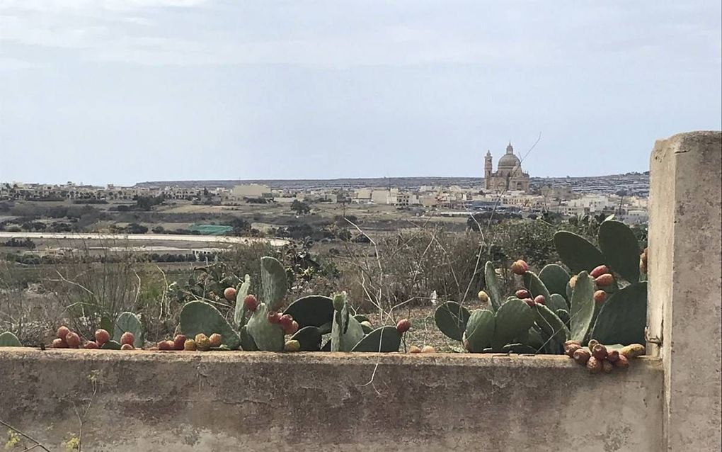 Uitzicht over het eiland Gozo. beeld RD