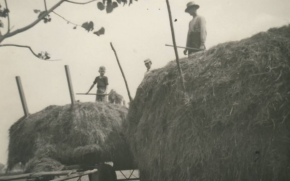 Bij het hooien kwam het tot ver in de 20e eeuw aan op spierkracht. beeld Nederlands Hooimuseum