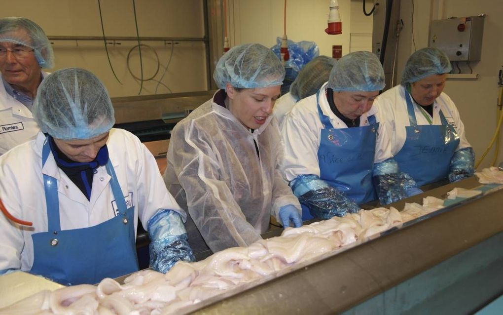 In de fabriekshal van visexporteur Neerlandia helpt minister Schouten (m) een handje mee aan de vriesband. beeld RD