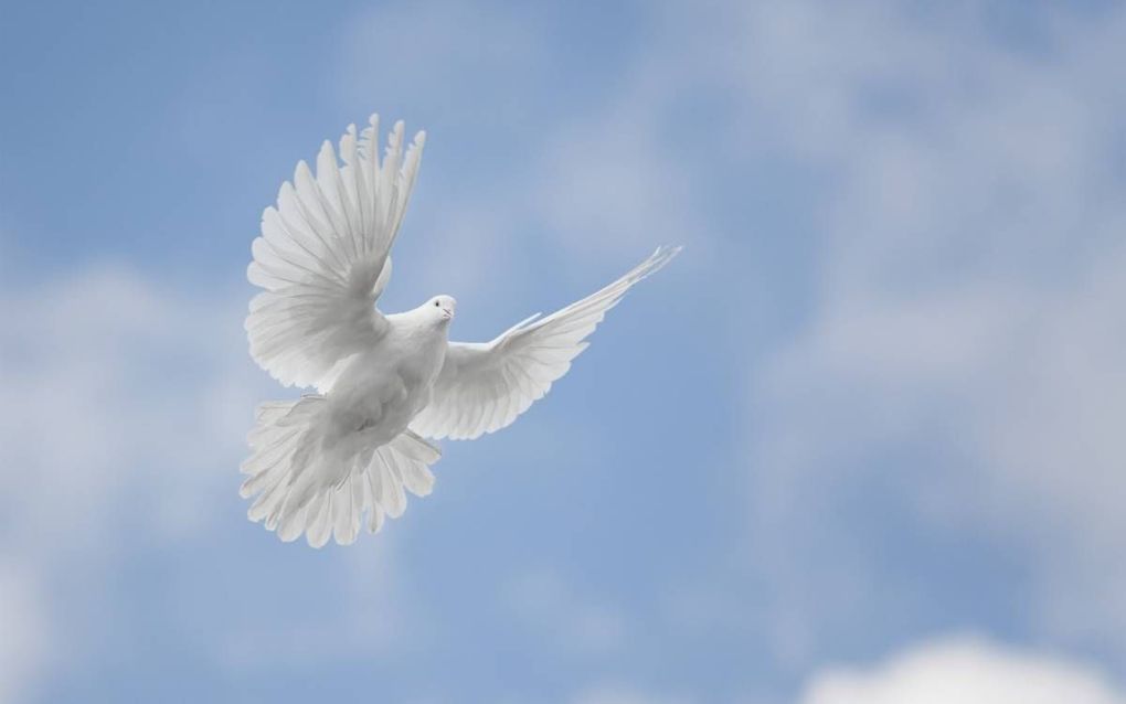 Het zou wel eens zo kunnen zijn dat we ten aanzien van de Heilige Geest meer ervaren dat Hij een kracht is dan dat Hij een persoon is. beeld Getty Images/iStockphoto