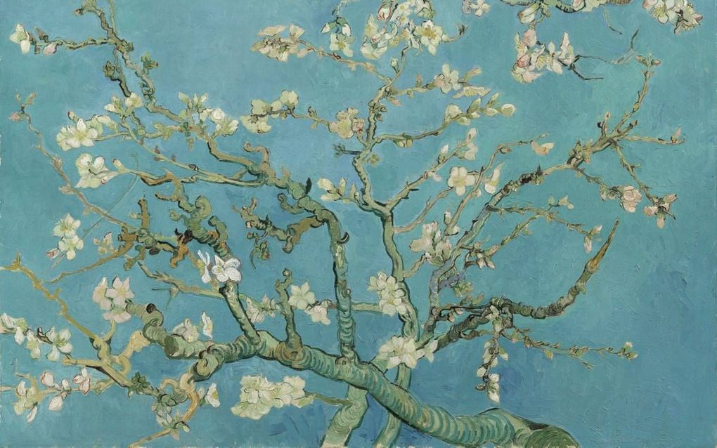”Amandelbloesem”, 1890, door Vincent van Gogh. beeld Van Gogh Museum