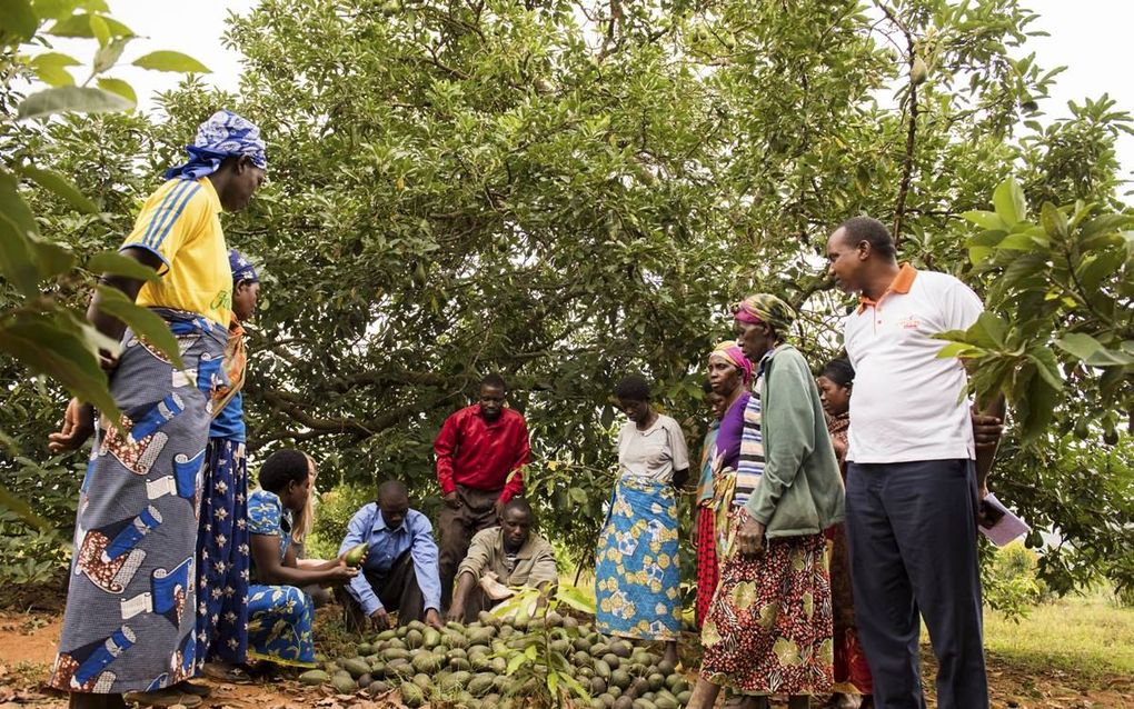 Een project van Red een Kind in Rwanda. beeld Red een Kind, Kjell Schipper en Anne Paul Roukema