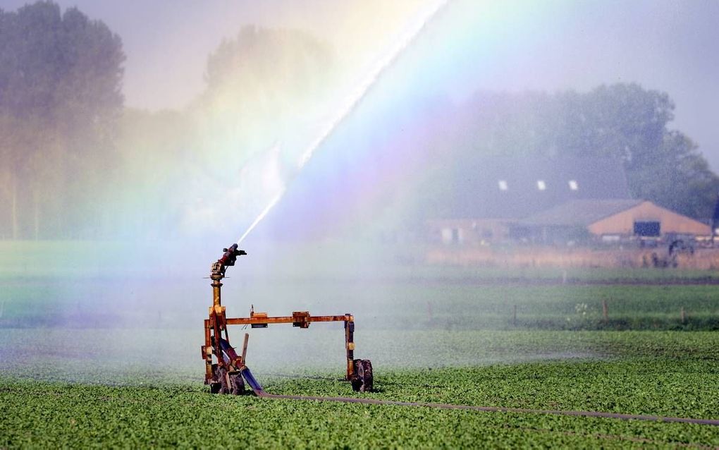 beeld ANP, Lex van Lieshout