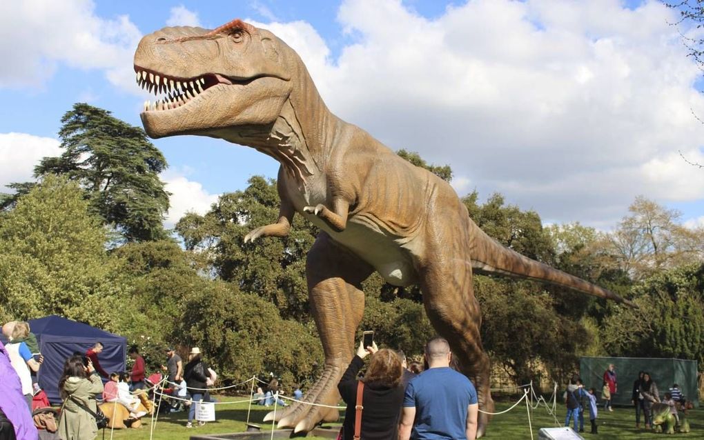 In Utrecht en Schiedam zijn vanaf zaterdag tientallen replica’s van dinosaurussen te zien. Op de foto een dino een nagemaakte T.rex die gewoonlijk is te zien in Groot-Brittannië. Dit dier staat tijdelijk in het Beatrixpark in Schiedam.  beeld Jurassic Kin