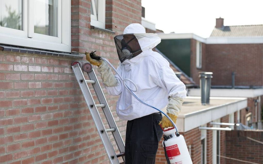 Nederland kampt deze zomer met grote wespenoverlast. De Rijssense bestrijder Berend Brinks denkt misschien wel dubbel zo veel nesten te spuiten als vorig jaar. beeld Rikkert Harink