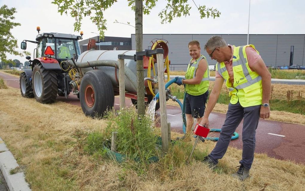 Groenopzichter van de gemeente Barneveld Johan Ossendrijver (r) meet de vochtigheid van de grond, terwijl Bastiaan van Beerschoten een tweejarige moeraseik van water voorziet. beeld Jaco Klamer