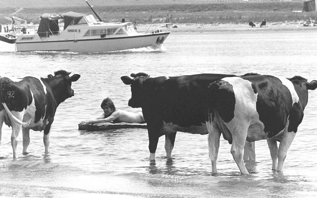 Pootje baden in de Lek. Lekkerder bestaat niet met deze hitte. beeld ANP, Arthur Bastiaanse