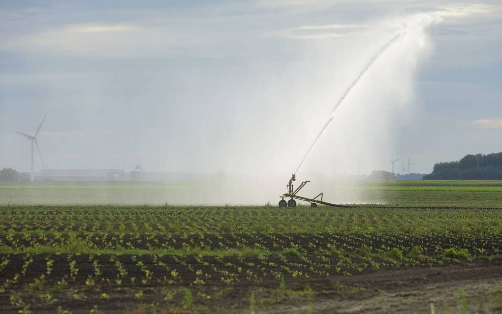 Nooit was het in juli zo droog. Dat neemt niet weg dat boeren doorgaan met het telen van gewassen. Foto: bij Almere werd deze week bloemkool geplant. beeld Jaco Klamer