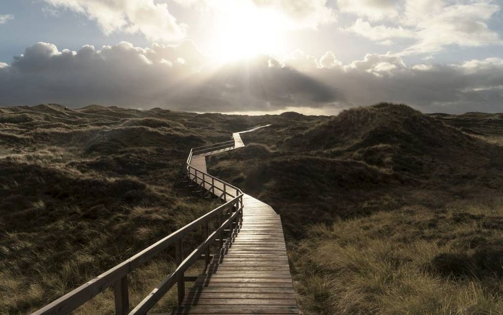 „Een doelgerichte theologische studie van God, als uitdrukking van liefde tot Hem, kan niet anders dan deze liefde verdiepen.” beeld iStock