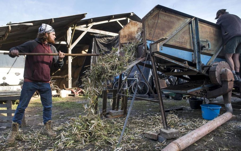 Om 10 miljard monden te voeden zal de wereld op grote schaal moeten overstappen op een vleesarm dieet en precisielandbouw.  beeld AFP, Sebastien Salom Gomis