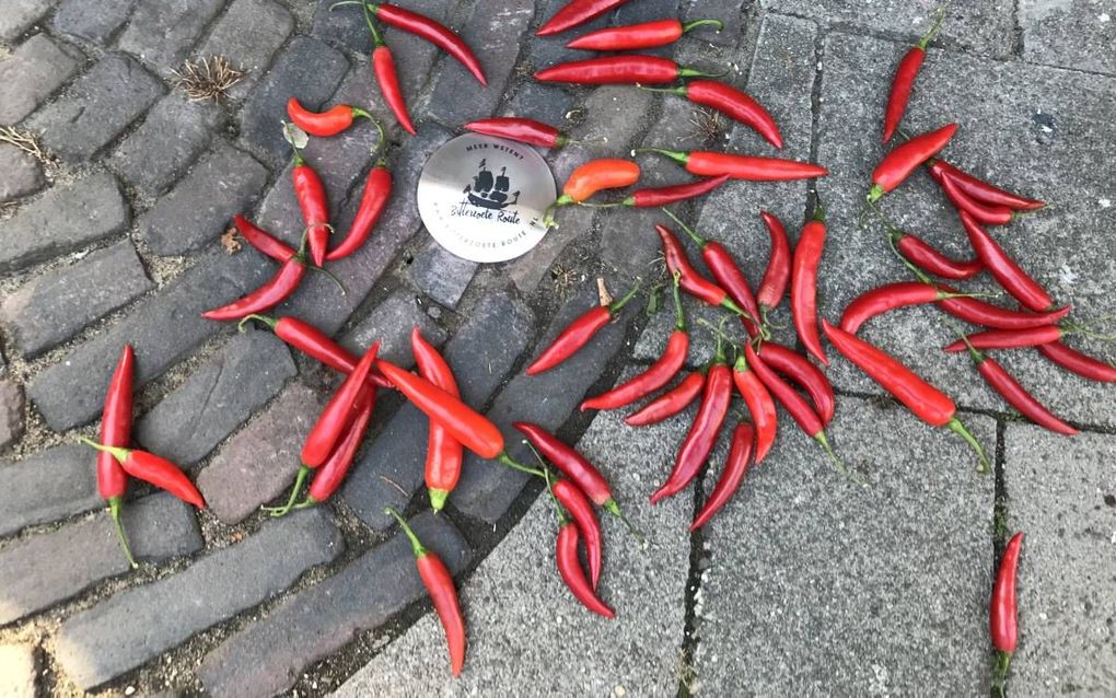 Pinnen in de straat markeren de Bitterzoete Route in de Utrechtse wijk Lombok. De wandelroute gaat door straten die herinneren aan het koloniale verleden. beeld Art. 1 Midden-Nederland