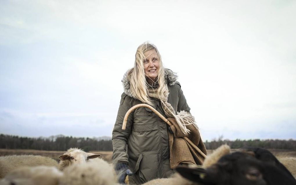 Herderin Christien Mouw (68): „Ik wil terug naar de schapen en weer samen met hen over het veld zwerven.” beeld Christien Mouw