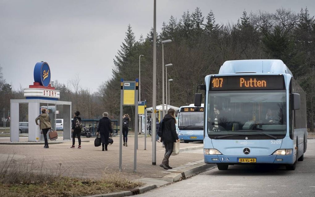 Busstation Wittenberg tussen Stroe en Garderen. beeld Niek Stam