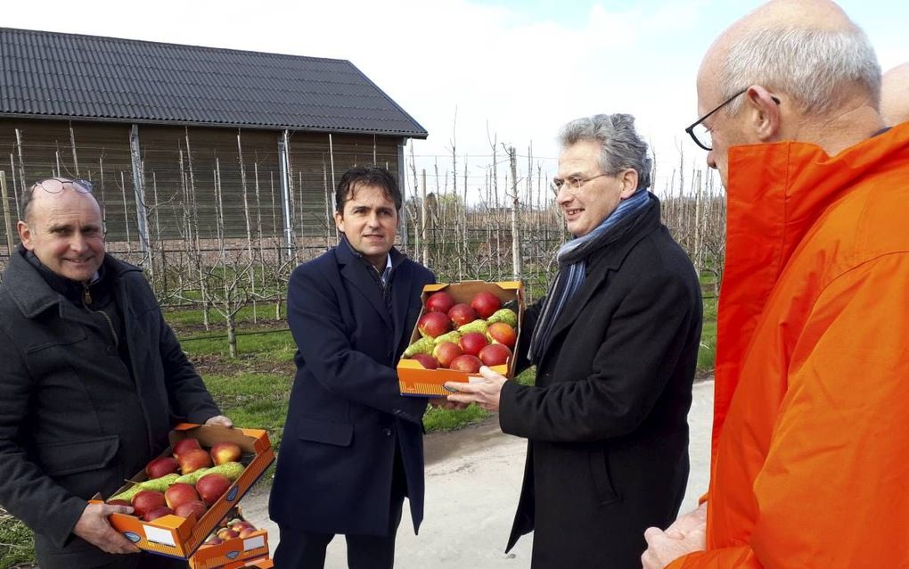 SGP-Kamerlid Roelof Bisschop was vrijdag op bezoek bij een fruitteler in het Gelderse Dodewaard. In aanloop naar de Statenverkiezingen zijn ook landelijke politici druk met werkbezoeken en verkiezingsbijeenkomsten. beeld SGP