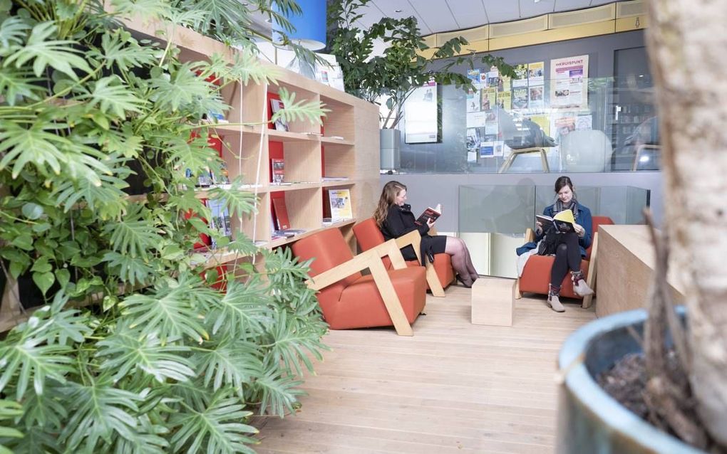 Groene leeshoek in het Kruispunt-complex in Barendrecht, waarin ook de bibliotheek huist. beeld Niek Stam