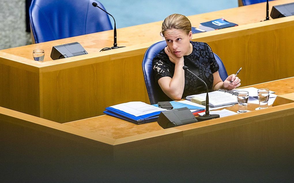 Landbouwminister Carola Schouten tijdens het Kamerdebat over het herstel van natuur en economie. beeld ANP