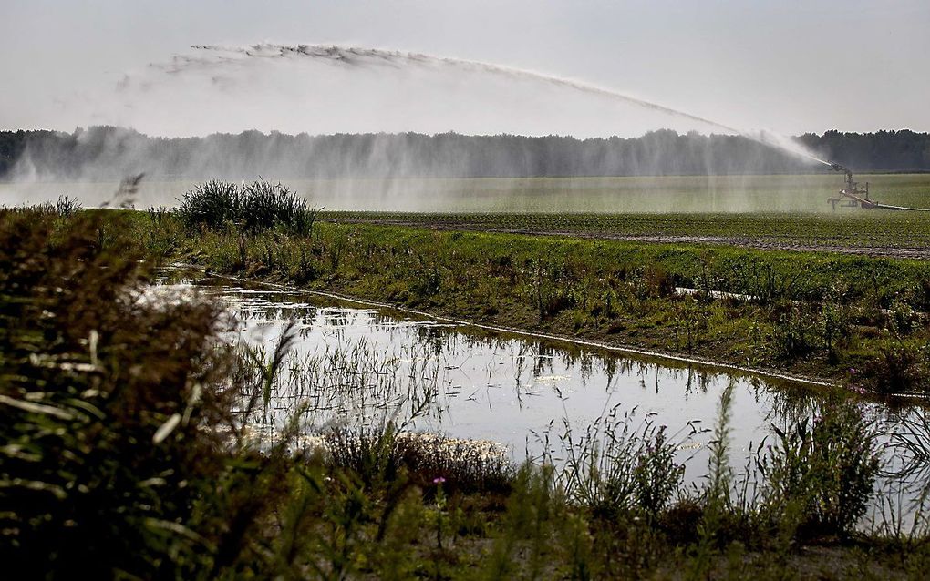 beeld ANP, Koen van Weel