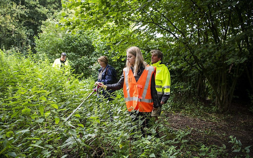 Vrijwilligers tijdens de zoektocht. beeld  ANP MAARTEN SPRANGH