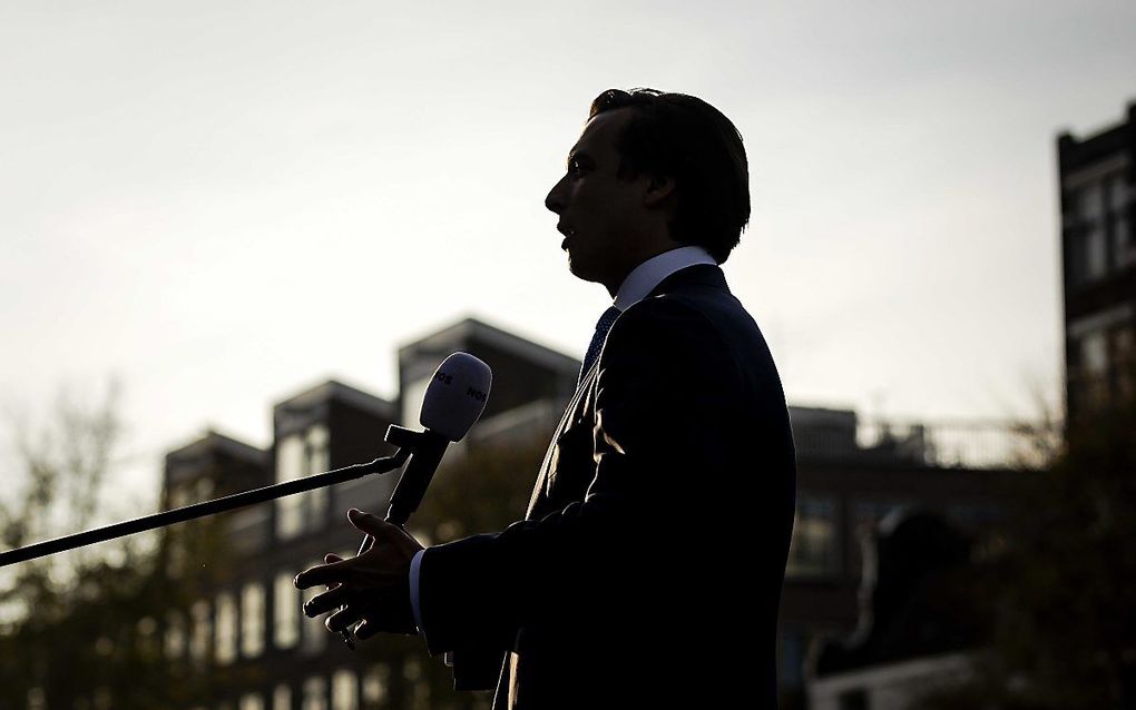 Baudet. beeld ANP, Robin van Lonkhuijsen