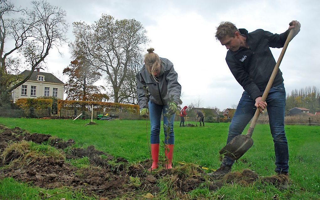 De aanplant van inheemse bomen in Meteren. beeld André Bijl