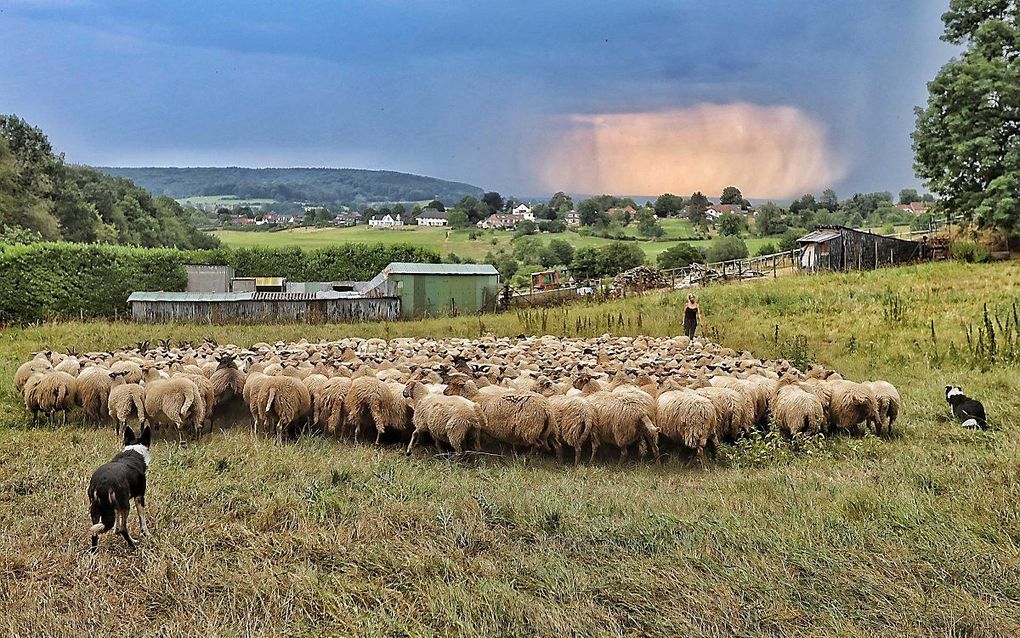 Naderend onweer bij Epen in Zuid-Limburg. Het onweer volgde na twee dagen van uitzonderlijke hitte. beeld ANP