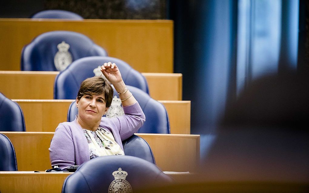 PvdA-Kamerlid Ploumen maakt zich zorgen over de gevolgen van een prolifefolder. beeld ANP, Bart Maat