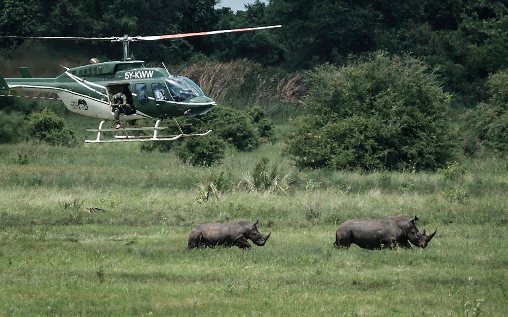 beeld AFP