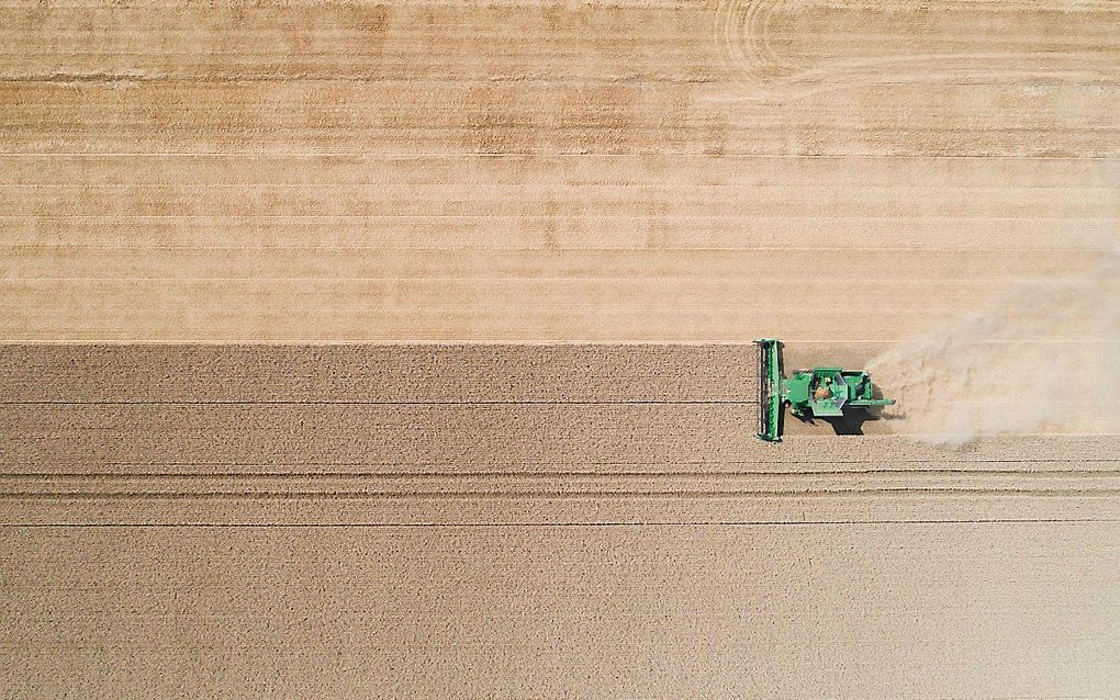 Een combine in actie in Hildesheim, Duitsland. beeld AFP