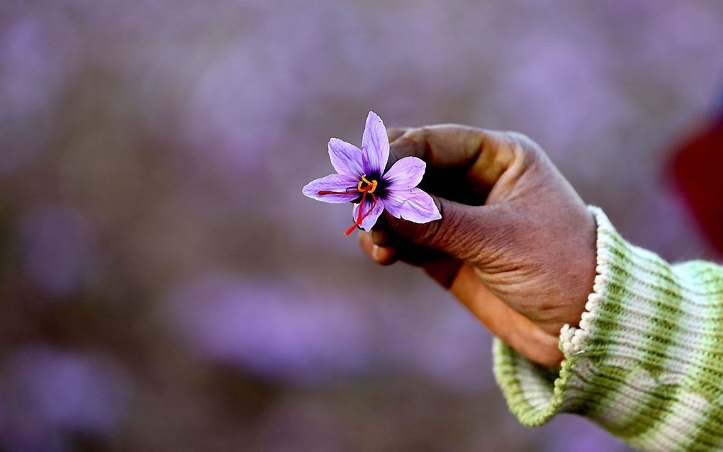 beeld AFP, Atta Kenare