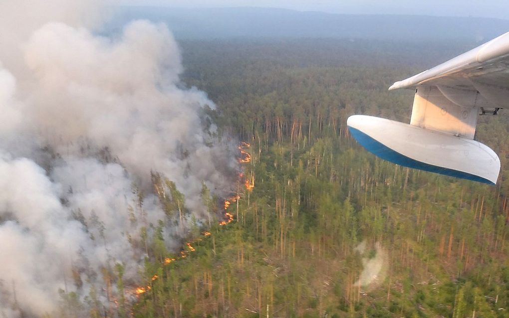 beeld AFP