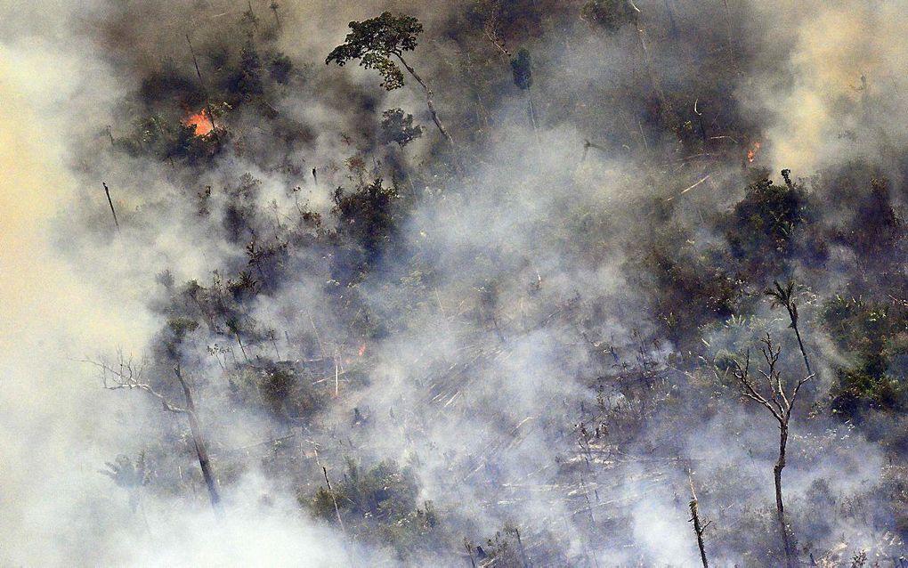 Bosbranden in het Amazonegebied. beeld AFP