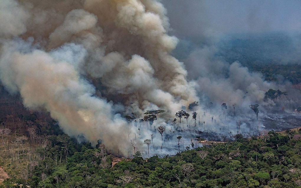 beeld AFP