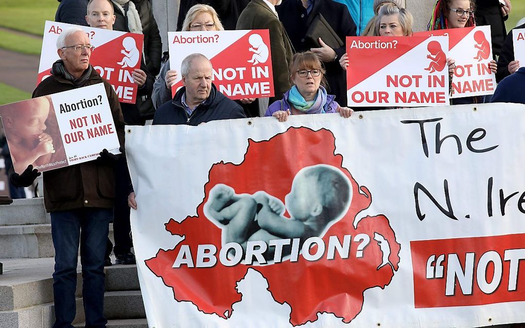 Protest bij Stormont. beeld AFP