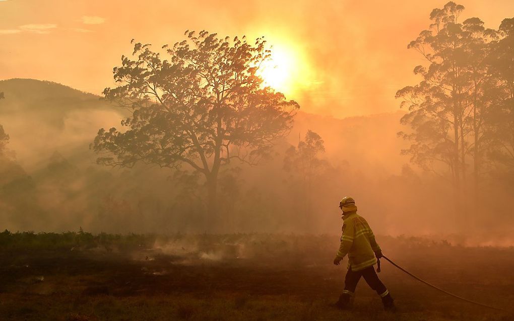 beeld AFP