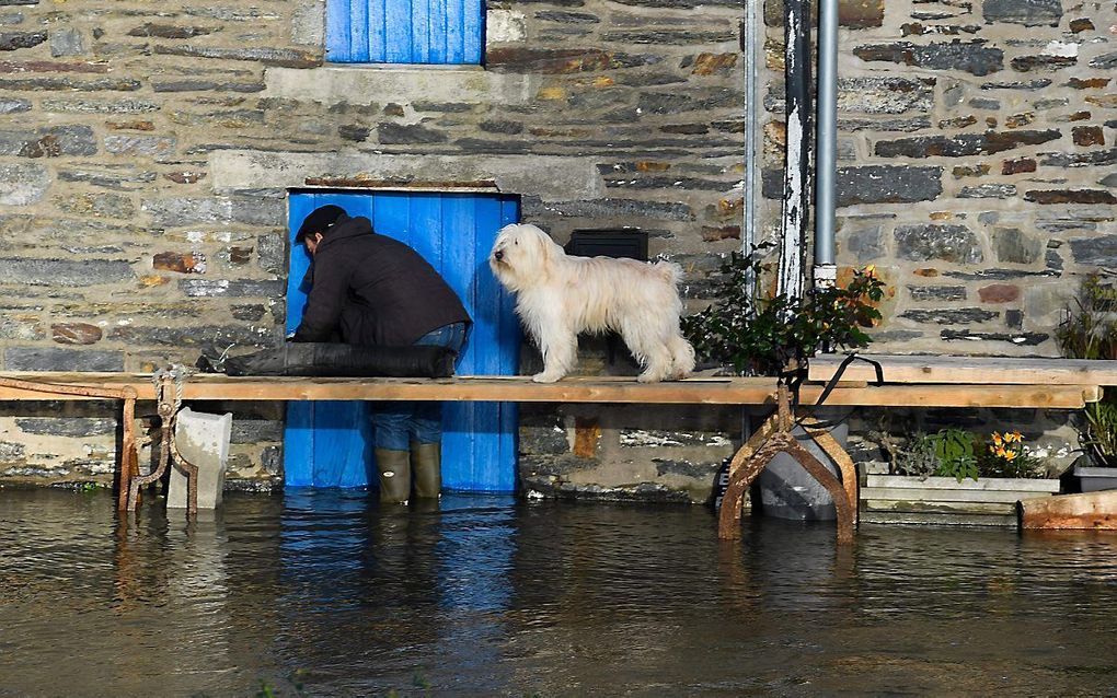 In het West-Franse Guipry-Messac controleert een man de deur van een huis, terwijl een hond op de voetgangersbrug over de ondergelopen straten staat. Het centrum van Guipry-Messac staat onder water doordat de rivier La Vilaine vanwege hevige regenval buit