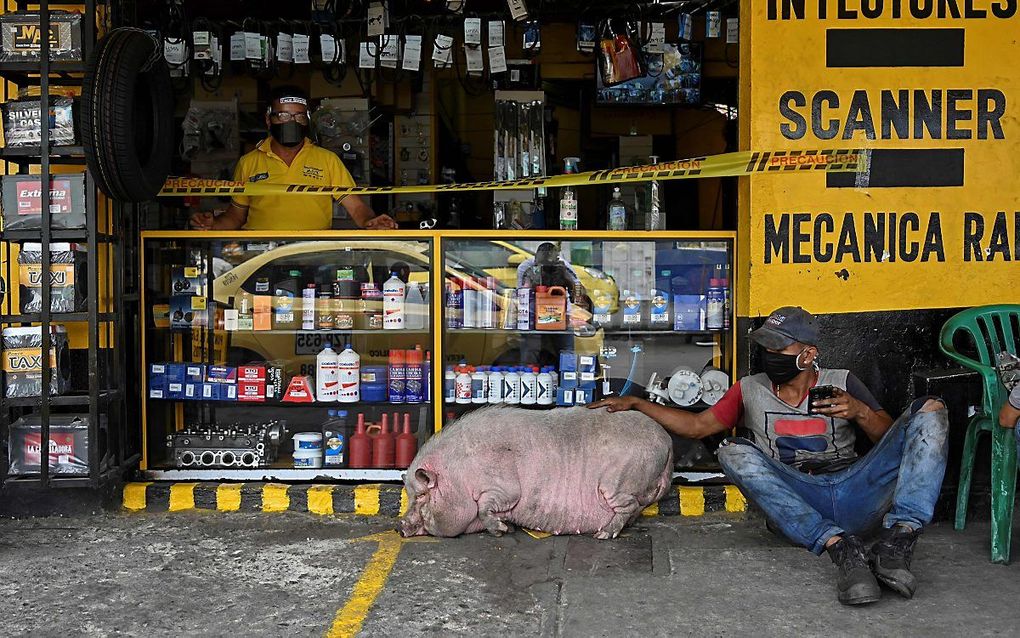 Een winkel in Cali in Colombia maandag. beeld AFP, Luis Robayo