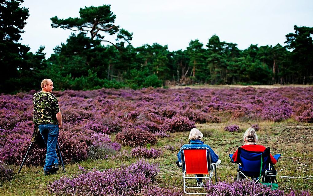 Hoge Veluwe. beeld ANP